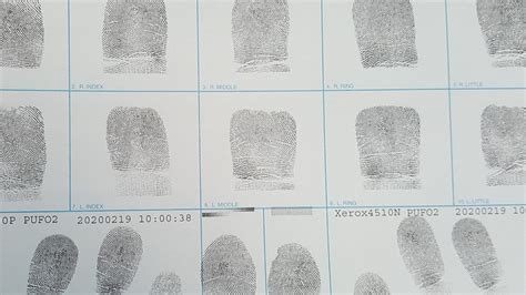 yuma police department fingerprinting