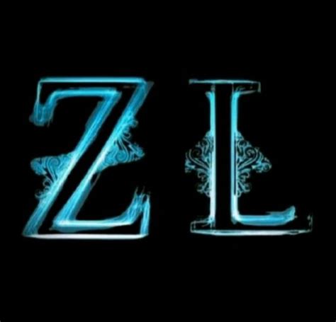Z & L Enterprises Inc