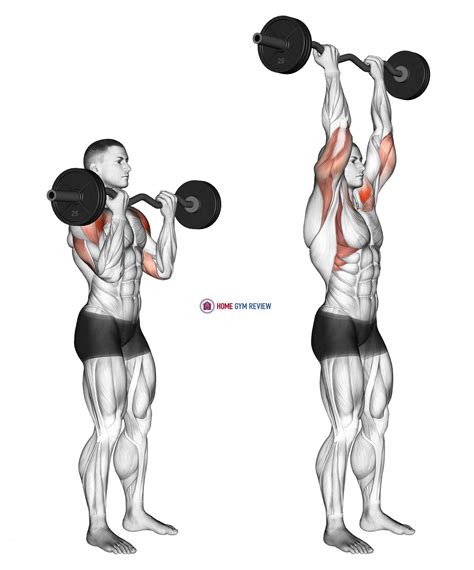 Z Bar Shoulder Press