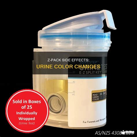 Understanding Z Pack Side Effects: What You Need to Know Before Taking Antibiotics