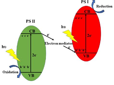 z-scheme system