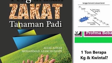 Panduan Lengkap Zakat Padi: Cara Hitung dan Bayar Tepat 10 Kuintal