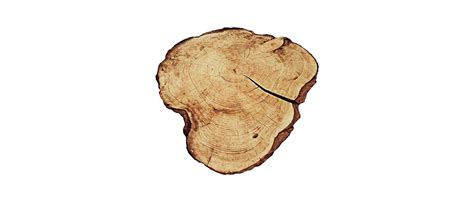 Teppich »Cubic«, Zala Living, rechteckig, Höhe 9 mm online kaufen OTTO