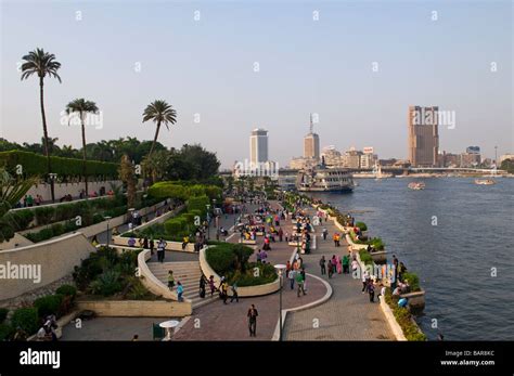 zamalek egipto