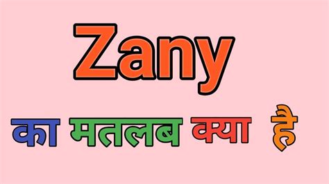 zany face meaning in hindi