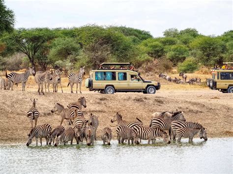 zanzibar safari tarif