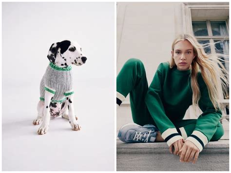 Zara Pet Collection