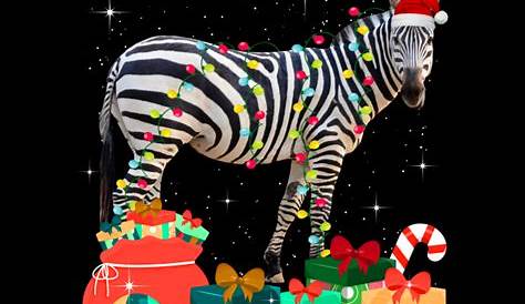 Zebra Christmas Shirts Gift Cute Funny Animal Graphic Long Sleeve