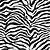 zebra print wallpaper for walls