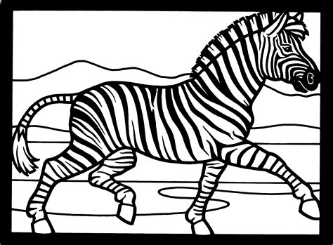 zebra color pages printable template