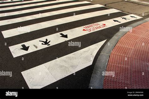 Zebra Crossing Guidance
