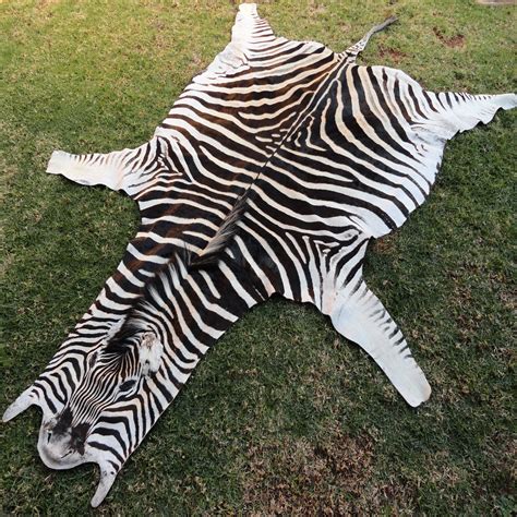 zebra hide rugs uk