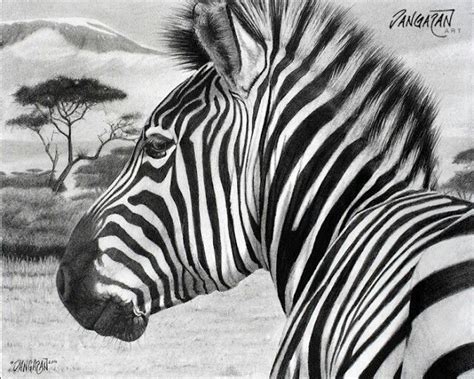Zebra Pen Drawing