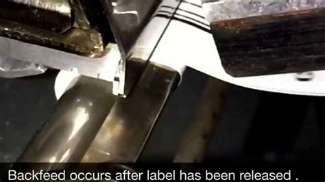 Zebra Printer Backfeed