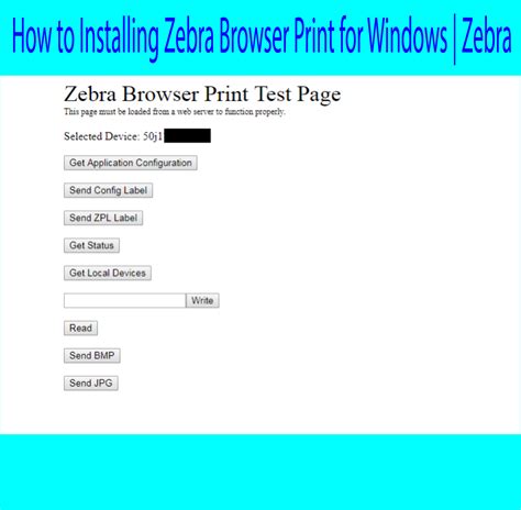 Zebra Printer Control Software