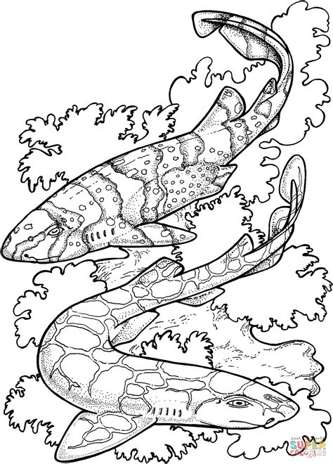 zebra shark coloring page printable template