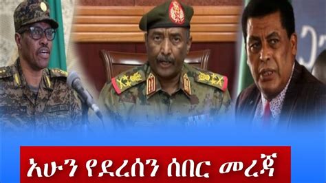 zehabesha latest amharic news