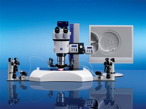 Zeiss V20 Stereo Microscope