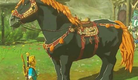 Les incroyables secrets de The Legend of Zelda : Breath of The Wild