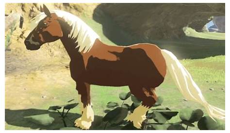 Zelda: Tears of the Kingdom : comment récupérer ses chevaux de Breath