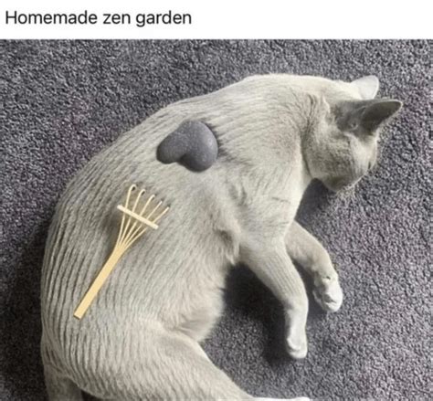 Zen