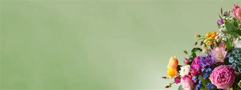 zephyrhills flower shops