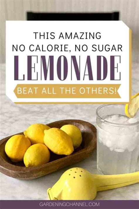 Zero Calorie Lemonade Recipe