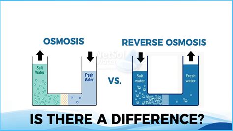 Zero Water Filter Vs Reverse Osmosis