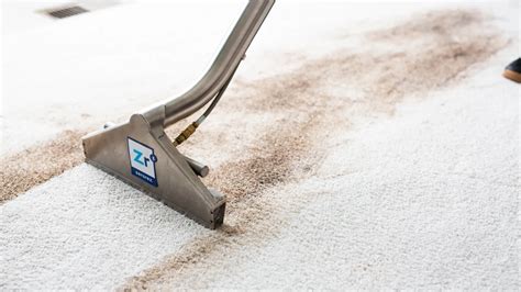 zerorez carpet cleaning atlanta reviews