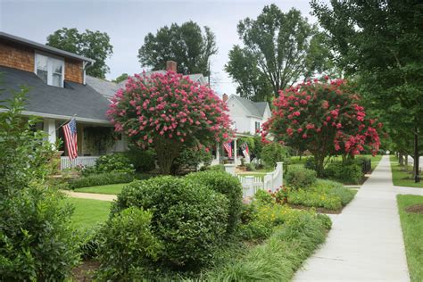 Zerorez Wake Forest Nc