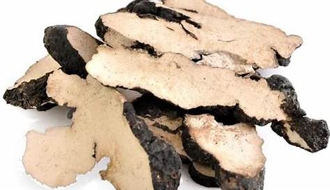 Buy Organic Zhu Ling Mushroom Powder (Polyporus umbellatus, From