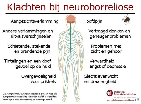 ziekte van lyme neurologisch