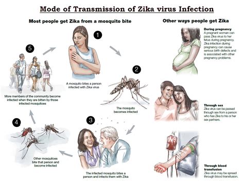 zika virus infected people