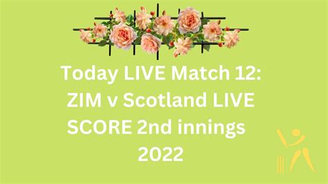 zim vs scotland live score