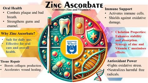Zinc Ascorbate Benefits