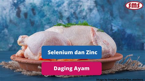 Zinc Ayam