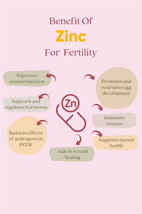 Zinc Benefits Conception