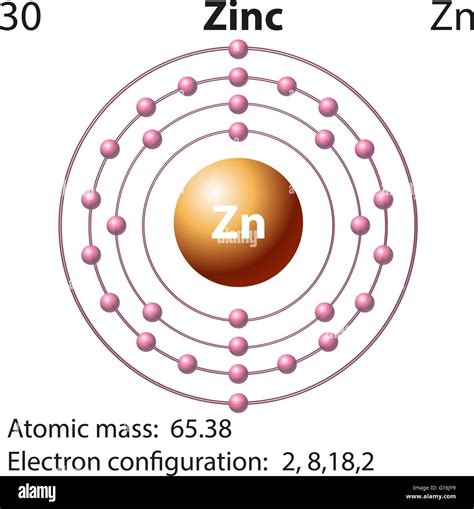 Zinc Electron And Neutrons