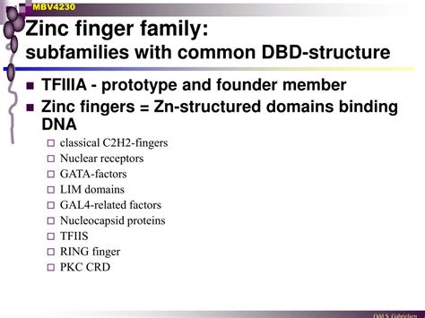 Zinc Finger For Dummies