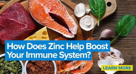 Zinc Immune System