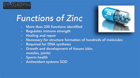 Zinc Main Function In The Body