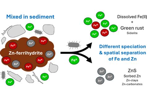 Zinc Mineral Interactions