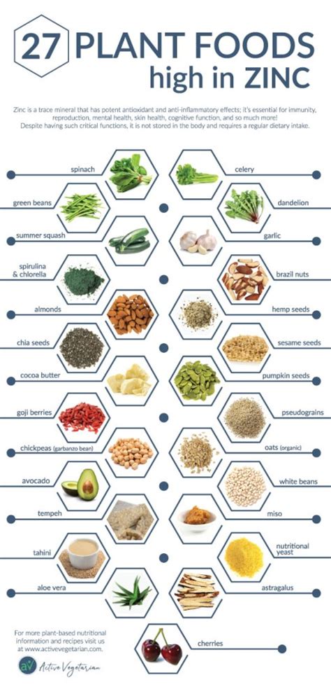 Zinc Plant Based Diet