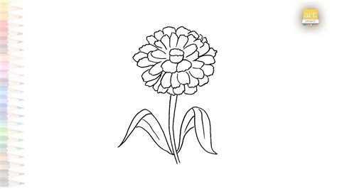 Zinnia Flower Drawing Simple