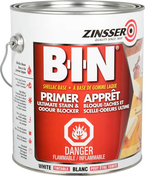 Zinsser Bin Damp Paint