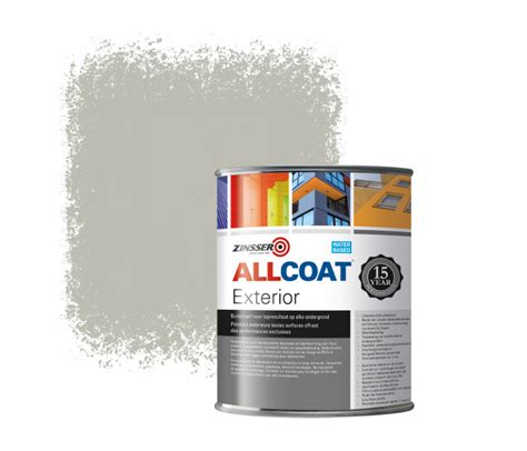 Zinsser Paint Grey