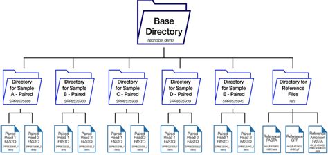 Zip Base Directory