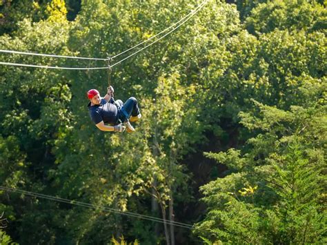 zip lining treetops adventure