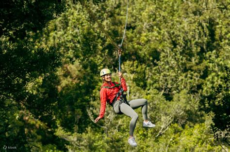 ziplining experience