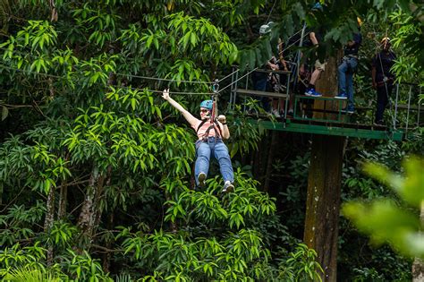 ziplining st lucia